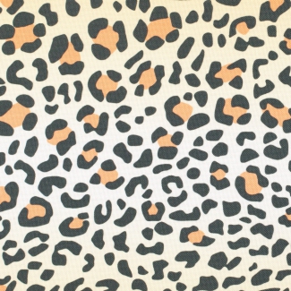 leopard_thumb_5