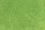 monaco_woda_APPLE_GREEN